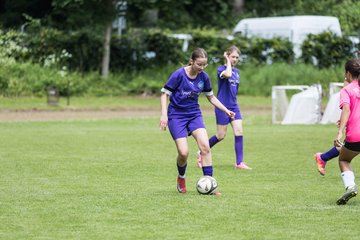 Bild 235 - wCJ VfL Pinneberg - Nordlichter im NSV : Ergebnis: 4:3